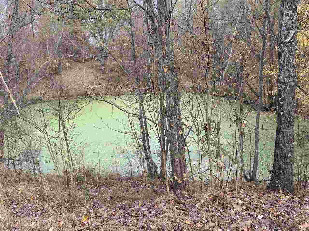 898 Glass Road Hornbeak, TN 38232 - Photo 6 of 8