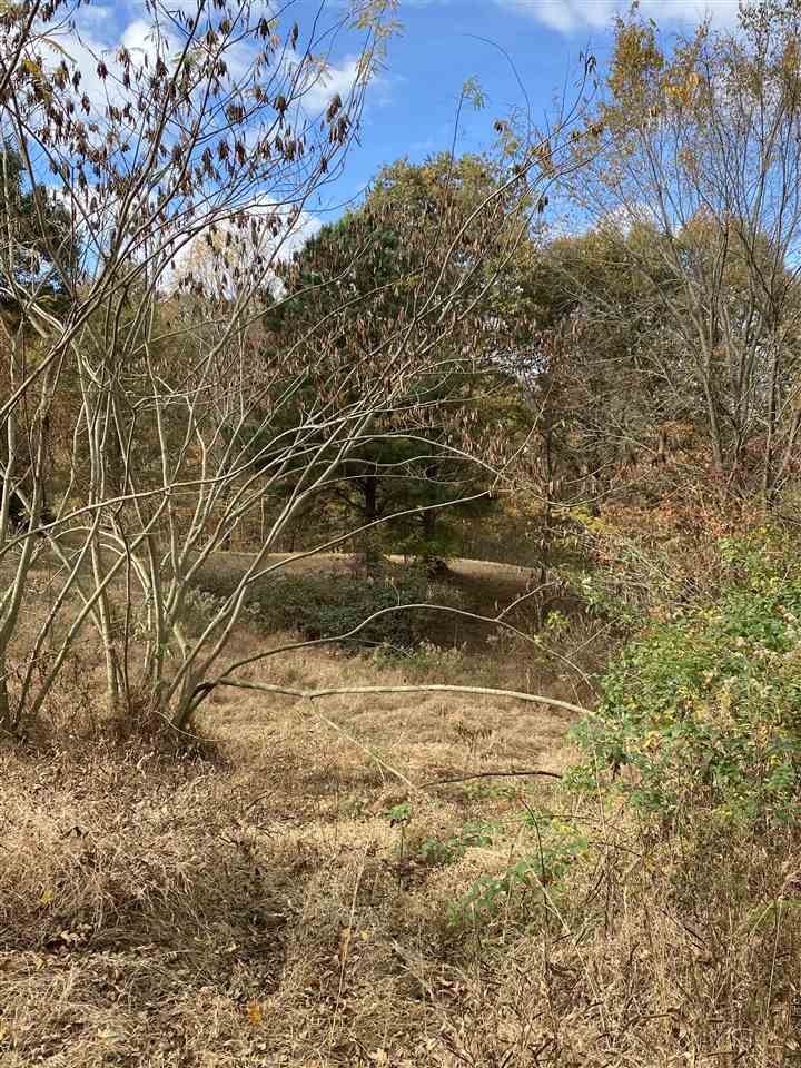 898 Glass Road Hornbeak, TN 38232 - Photo 7 of 8