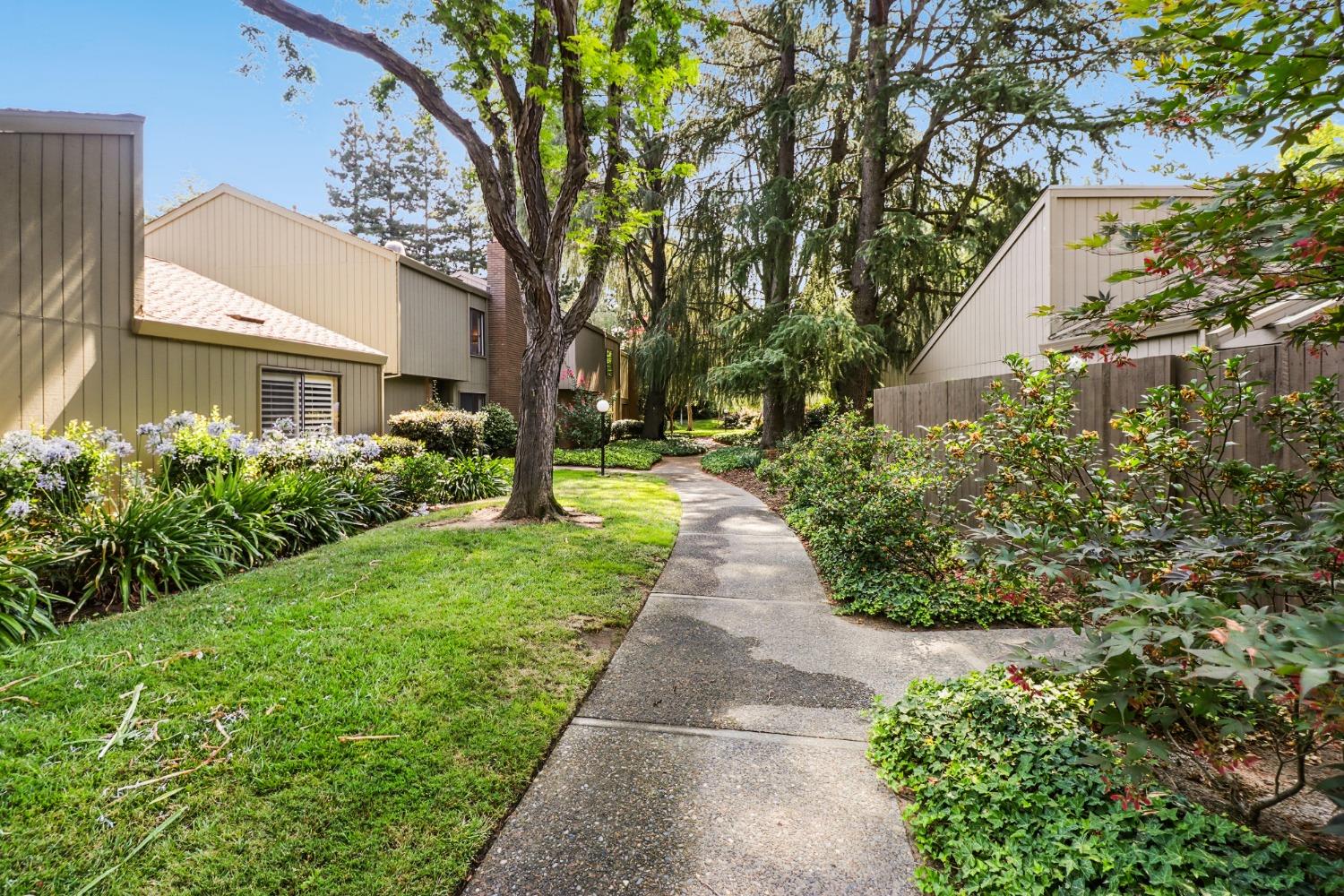 a view of a pathway with house on both side