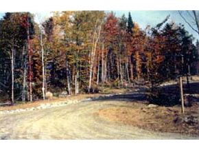 Lot#25 Eagle Nest Road Warren, NH 03279 - Photo 2 of 4 Gallery Image 2