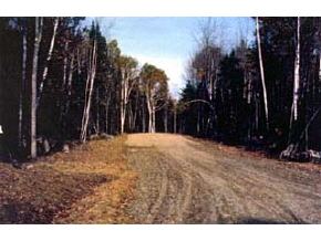 Lot#25 Eagle Nest Road Warren, NH 03279 - Photo 4 of 4 Gallery Image 4