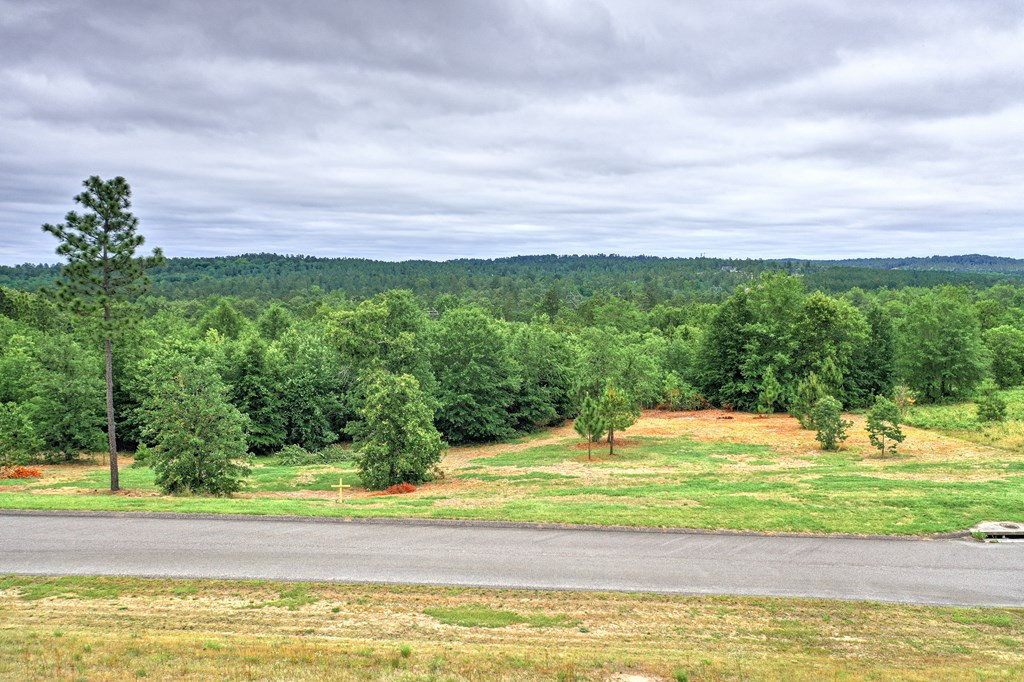 561 Riding Ridge Court Aiken, SC 29801 - Photo 59 of 69