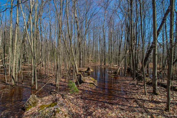 $69,000 | 3069 East Monroe Street, White Cloud, MI 49349