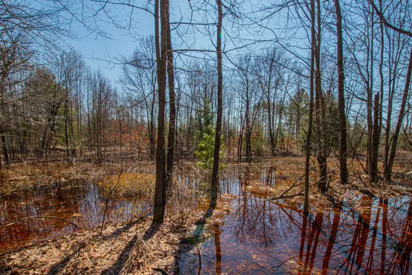 $69,000 | 3069 East Monroe Street, White Cloud, MI 49349