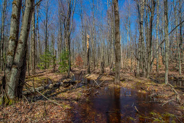 $69,000 | 3069 East Monroe Street, White Cloud, MI 49349