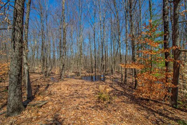 $69,000 | 3069 East Monroe Street, White Cloud, MI 49349