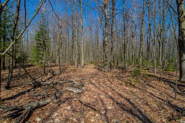 $69,000 | 3069 East Monroe Street, White Cloud, MI 49349