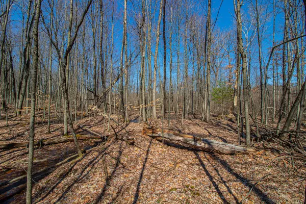 $69,000 | 3069 East Monroe Street, White Cloud, MI 49349