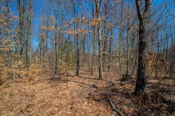 $69,000 | 3069 East Monroe Street, White Cloud, MI 49349