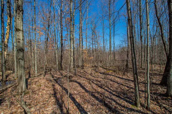 $69,000 | 3069 East Monroe Street, White Cloud, MI 49349