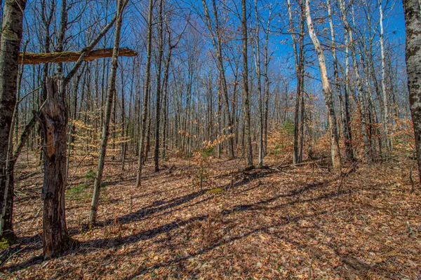 $69,000 | 3069 East Monroe Street, White Cloud, MI 49349