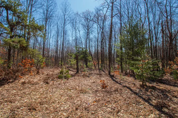 $69,000 | 3069 East Monroe Street, White Cloud, MI 49349