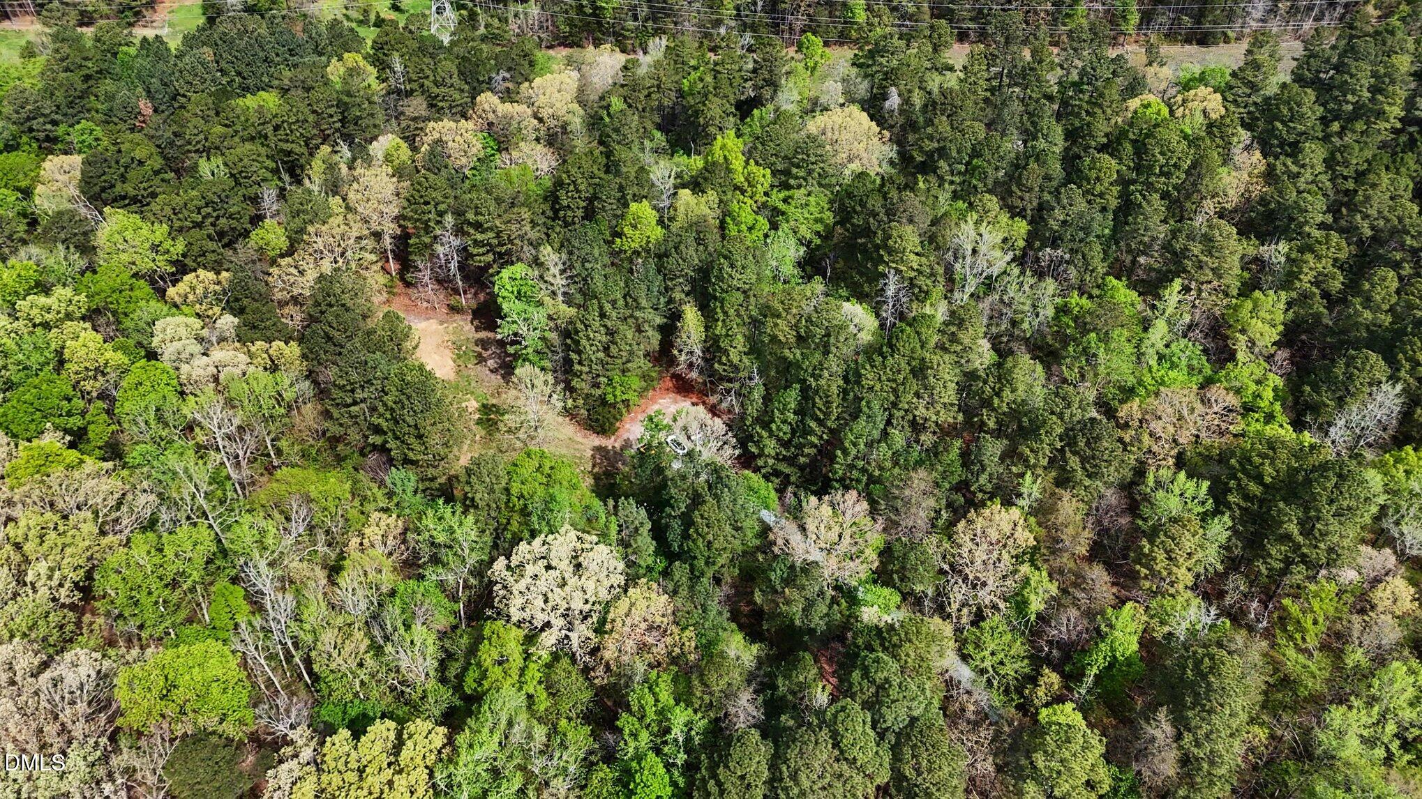 Tbd Elg Road Efland, NC 27243 - Photo 18 of 18 a view of a lush green forest with a tree