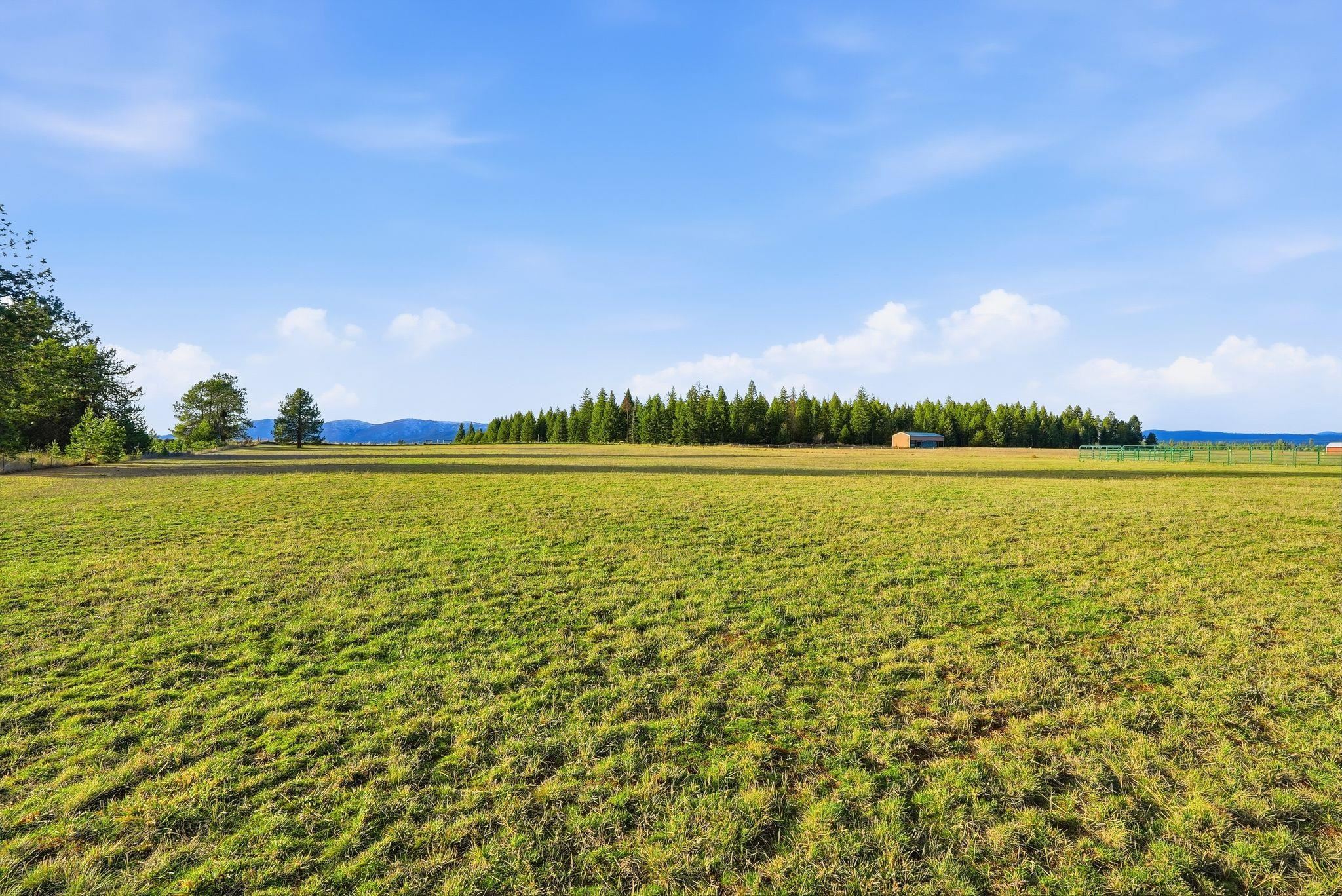 32115 North Spotted Road Deer Park, WA 99006 - Photo 44 of 50