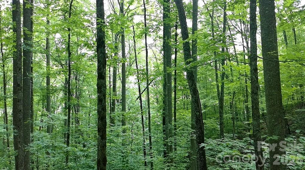1873 Unahala Creek Road Bryson City, NC 28713 - Photo 11 of 11