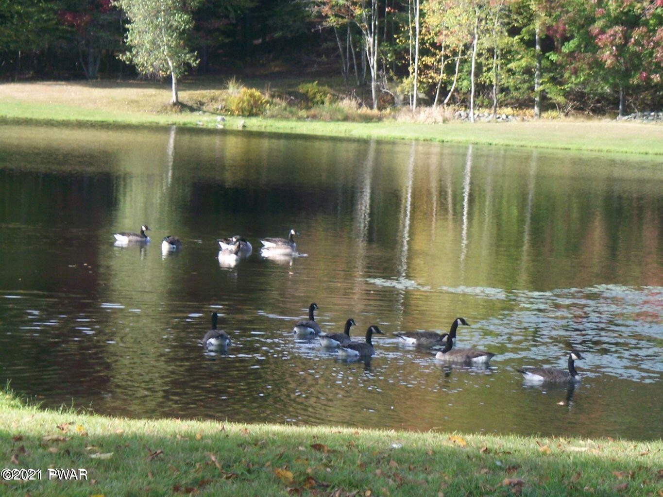 Lot 2781 Cygnus Rd Lake Lake Ariel, PA 18436 - Photo 3 of 8