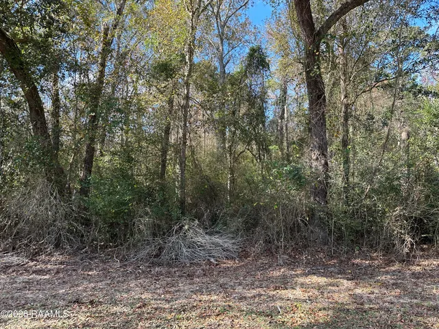 $33,500 | Hoffpauir Road, Gueydan, LA 70542