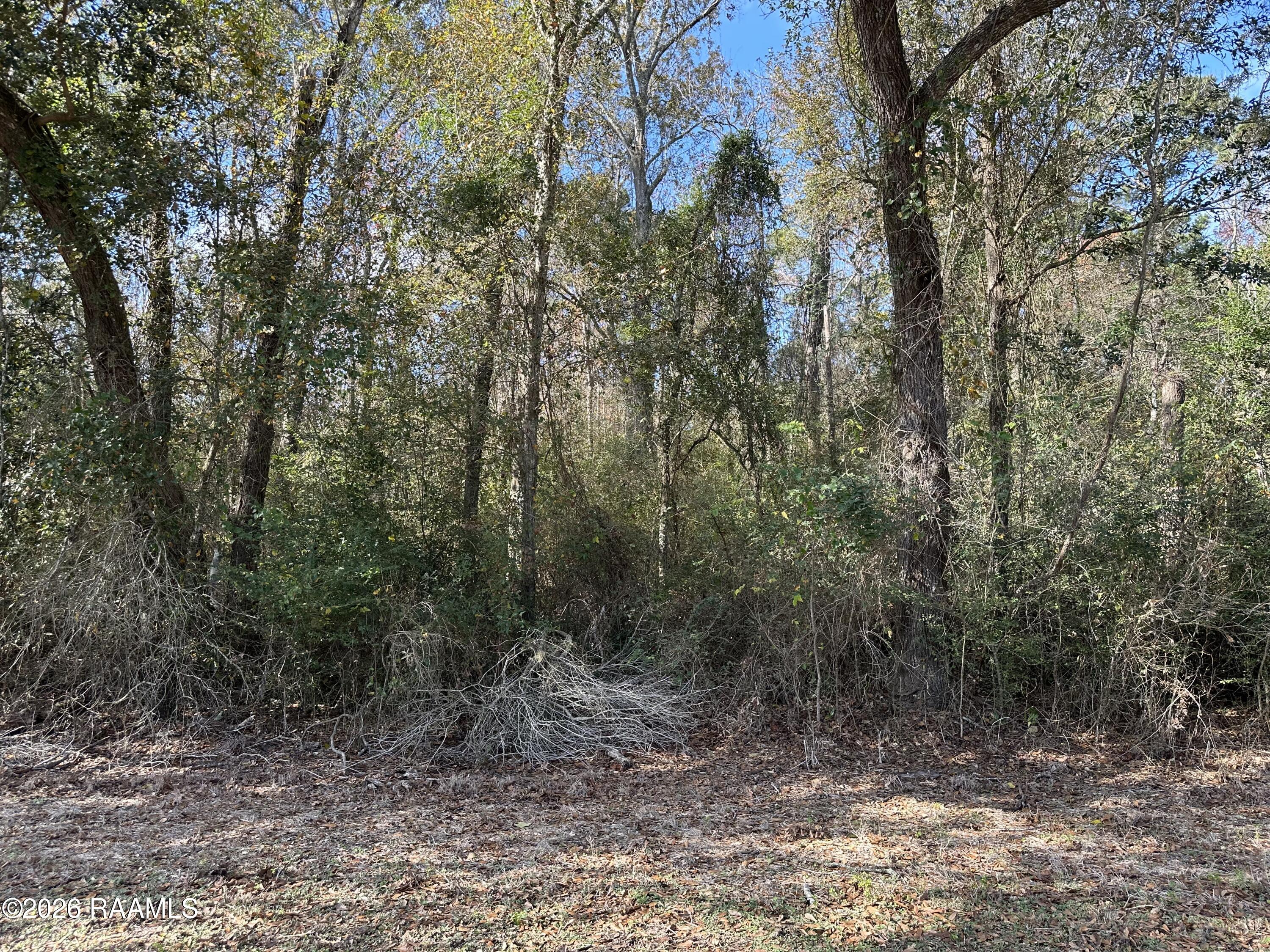 Hoffpauir Road Gueydan, LA 70542 - Photo 1 of 3 IMG_5809