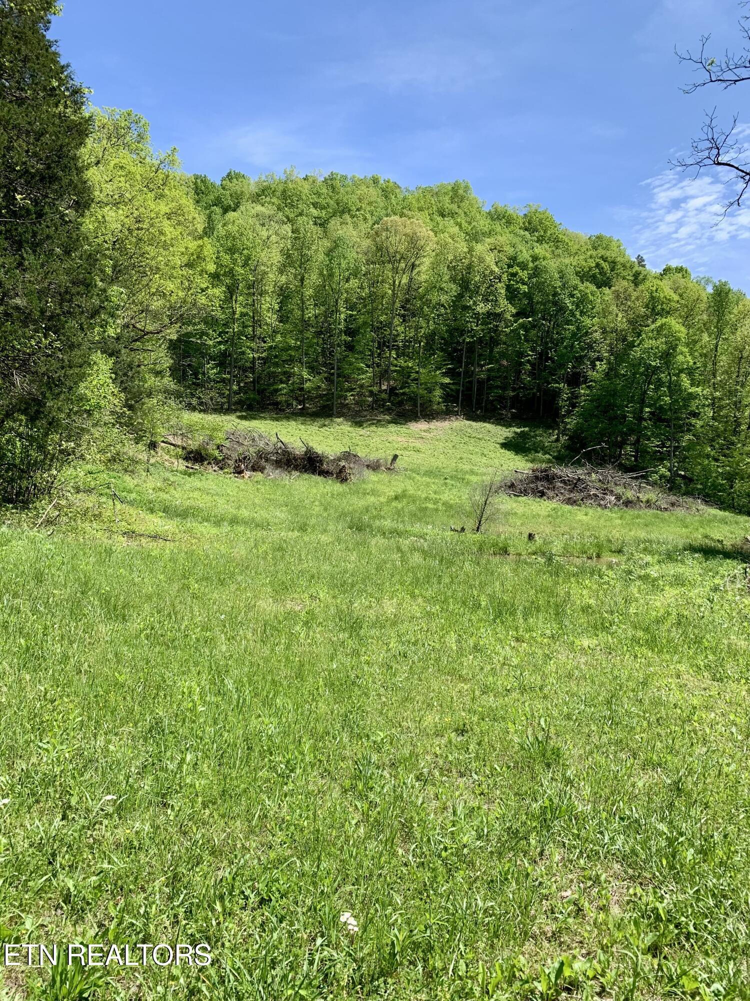 1088 Jones Ridge Road Speedwell, TN 37870 - Photo 38 of 53 IMG_0060