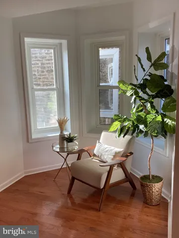 a living room filled with furniture and a potted plant