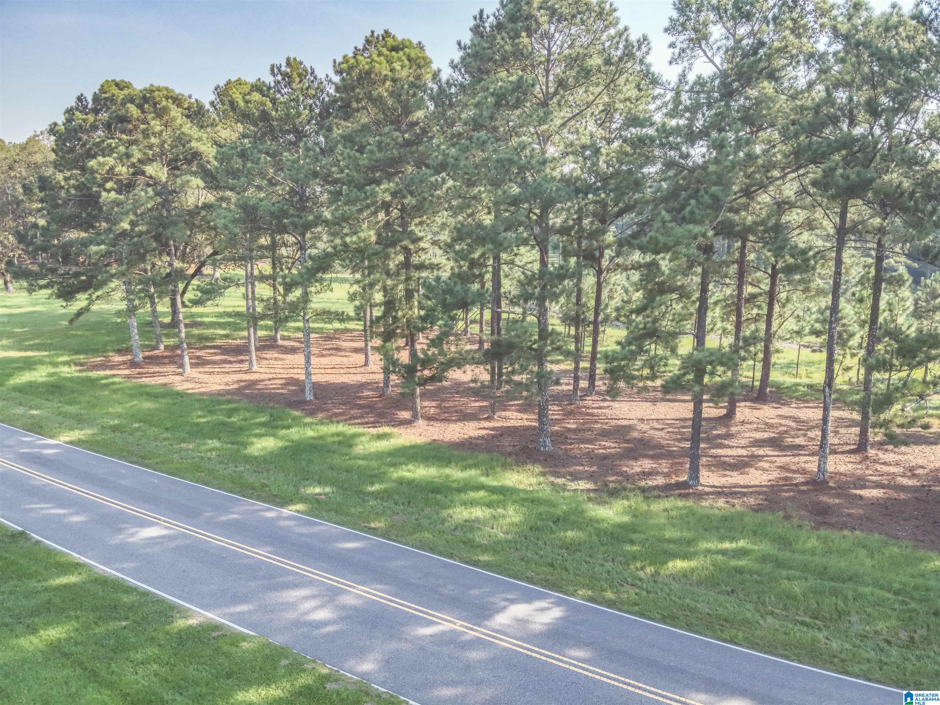 0 County Road 48, Unit 1 Jemison, AL 35085 - Photo 19 of 24