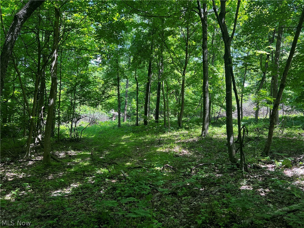 1089 Township Road Perrysville, OH 44864 - Photo 11 of 23 Gallery Image 11