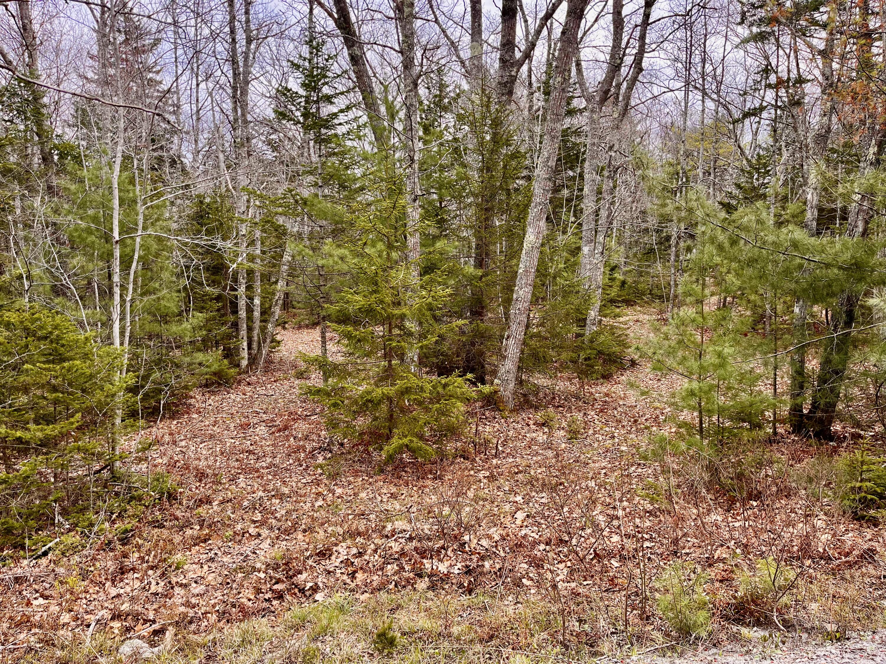 92 L Russel Road Chamberlain, ME 04541 - Photo 10 of 21