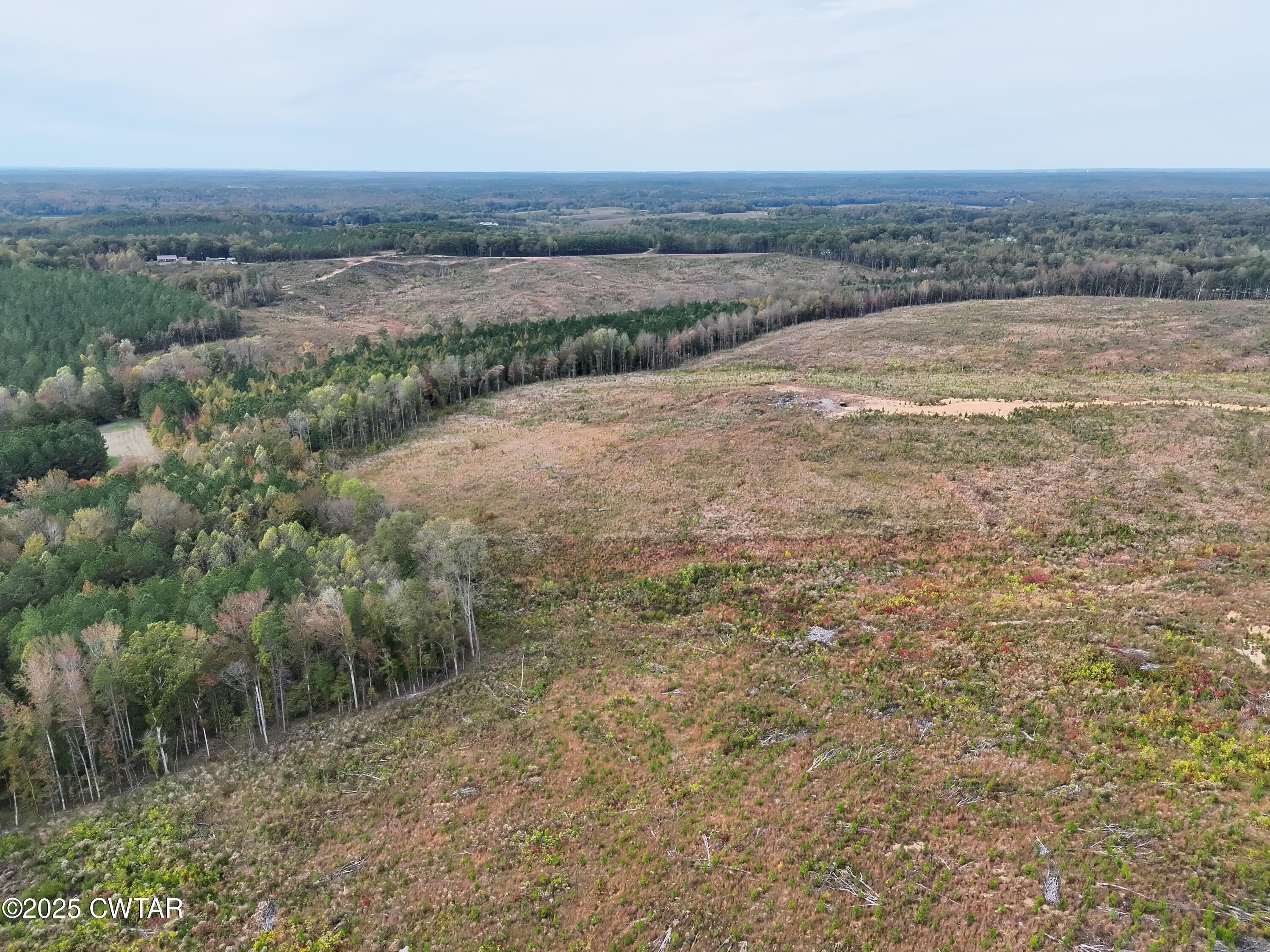 0 Luther Ingle Road Ramer, TN 38367 - Photo 3 of 9 DJI_20251025135824_0003_V