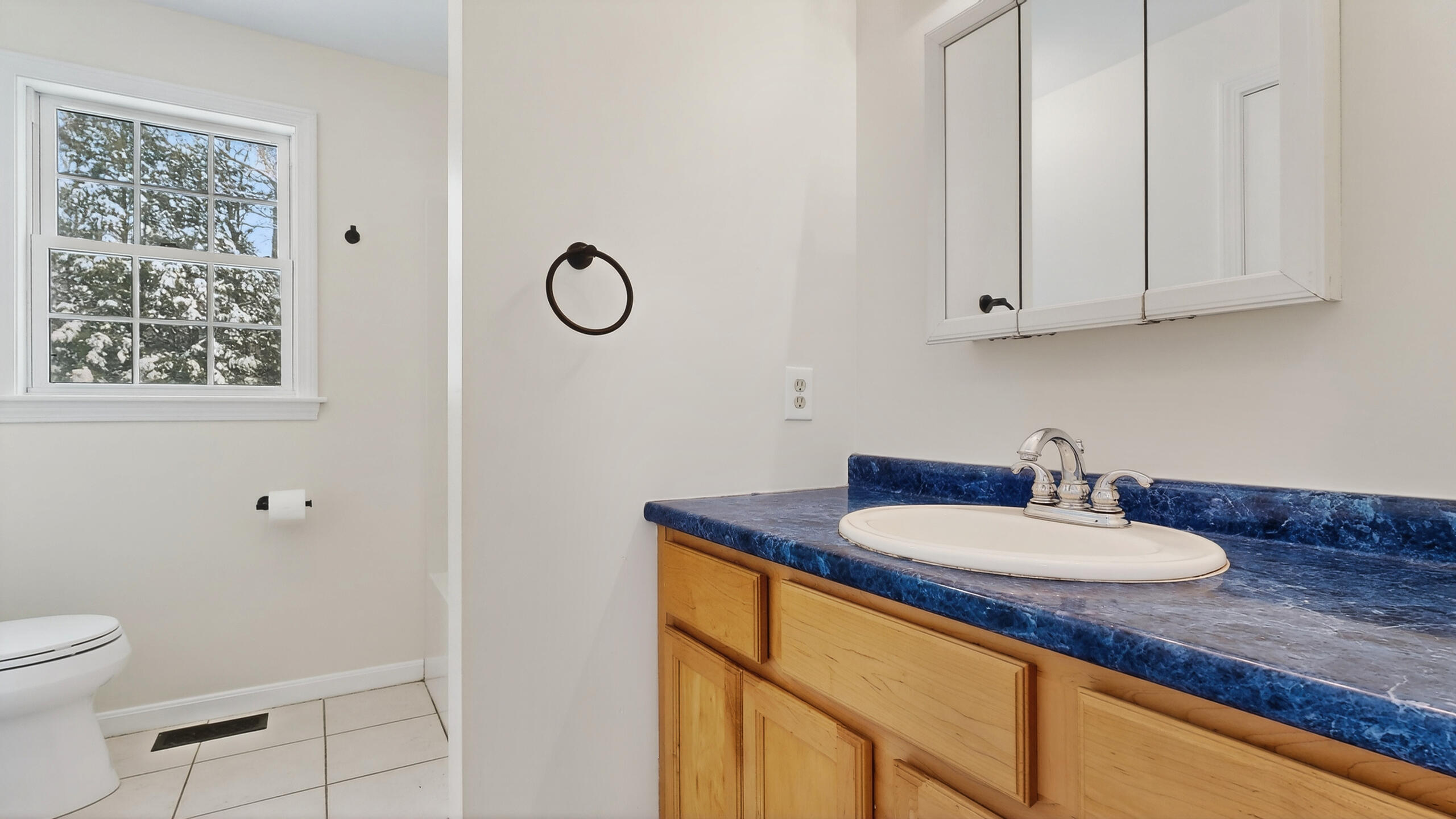 21 Winter Street Buxton, ME 04093 - Photo 28 of 69 21-Winter-Street-Buxton-12042025_161021