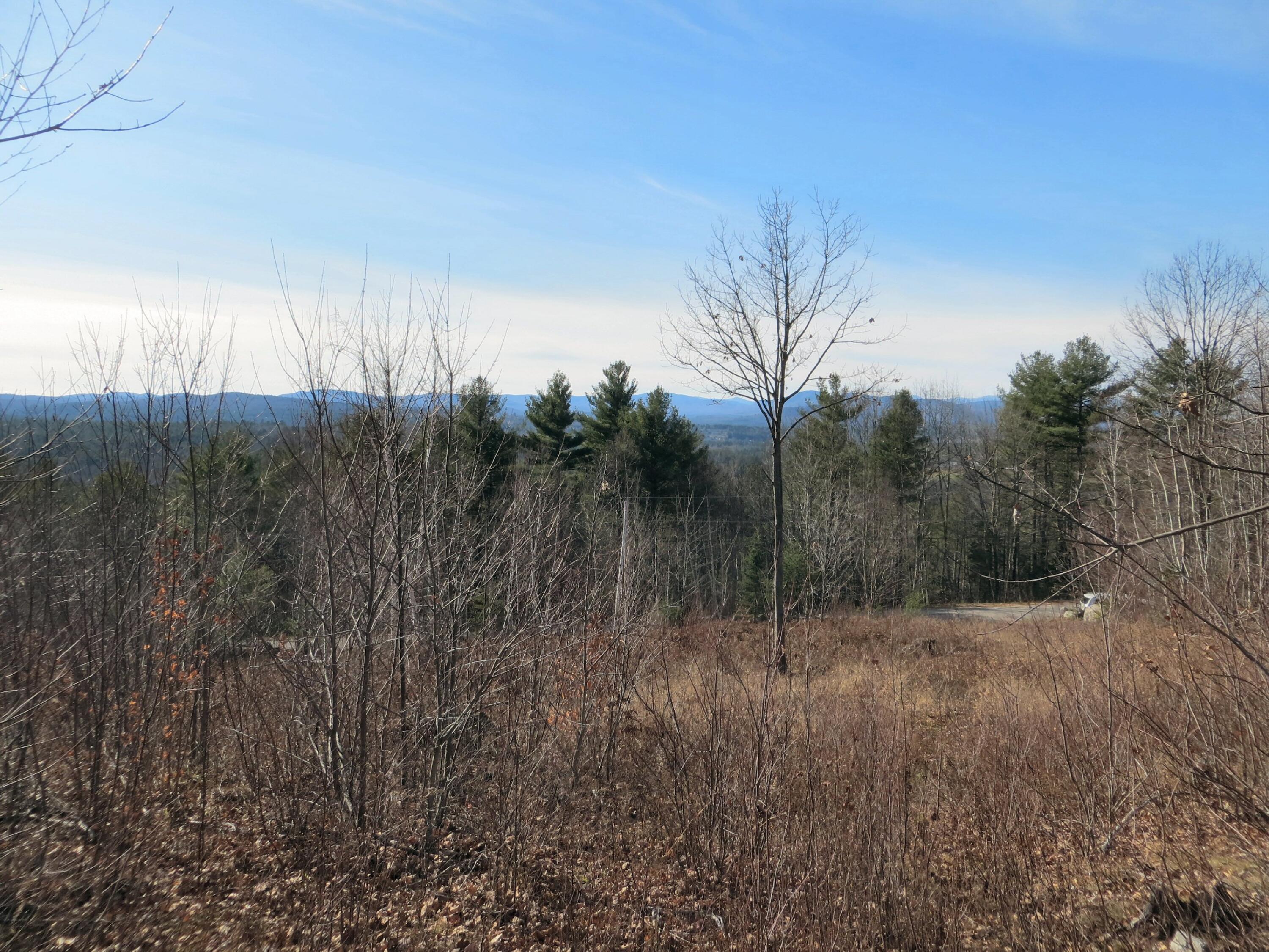 Lot #9 Taylor Smith Road Bethel, ME 04217 - Photo 14 of 22 Mid Lot