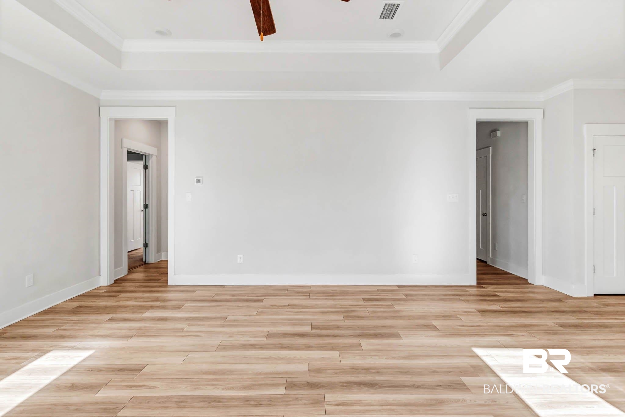 16461 Prado Loop Loxley, AL 36551 - Photo 27 of 78 Unfurnished room with a tray ceiling, light wood-style flooring, ornamental molding, and a ceiling fan