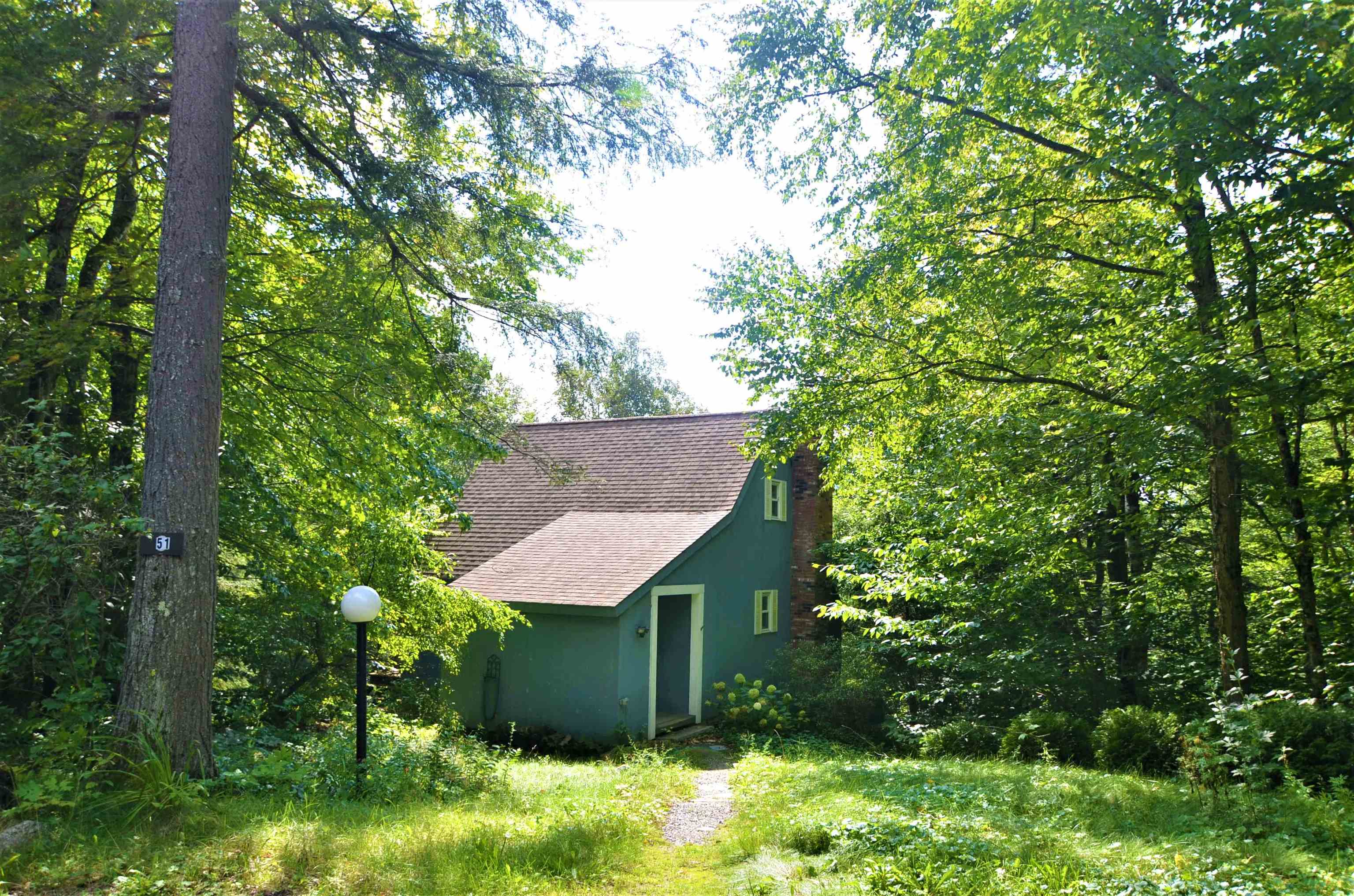 51 High Pond Road Grantham, NH 03753 - Photo 1 of 8