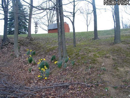 6881 Lowmiller Road Minerva, OH 44657 - Photo 4 of 10 Gallery Image 4