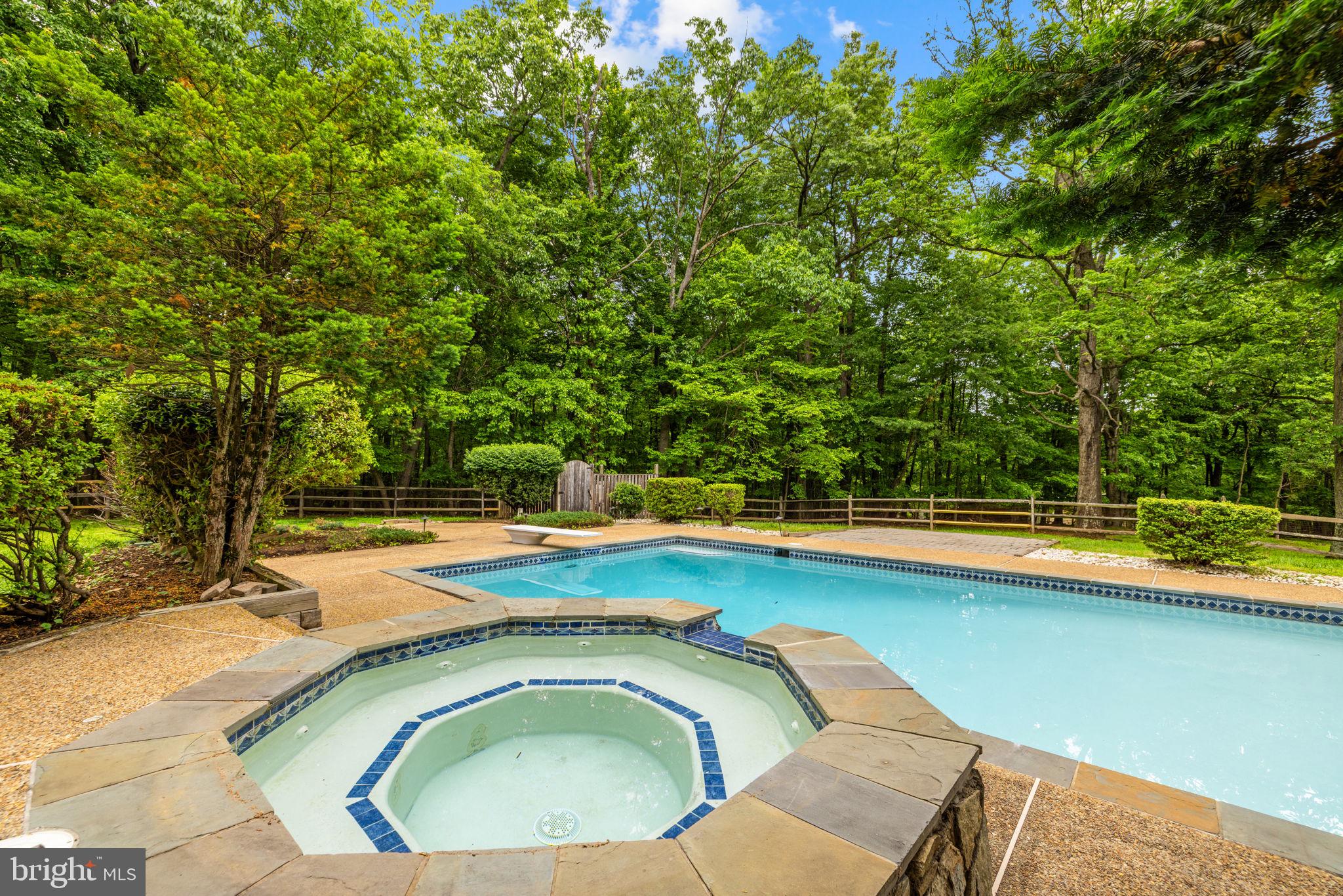 41726 Stumptown Road Leesburg, VA 20176 - Photo 60 of 91 Spa / Pool