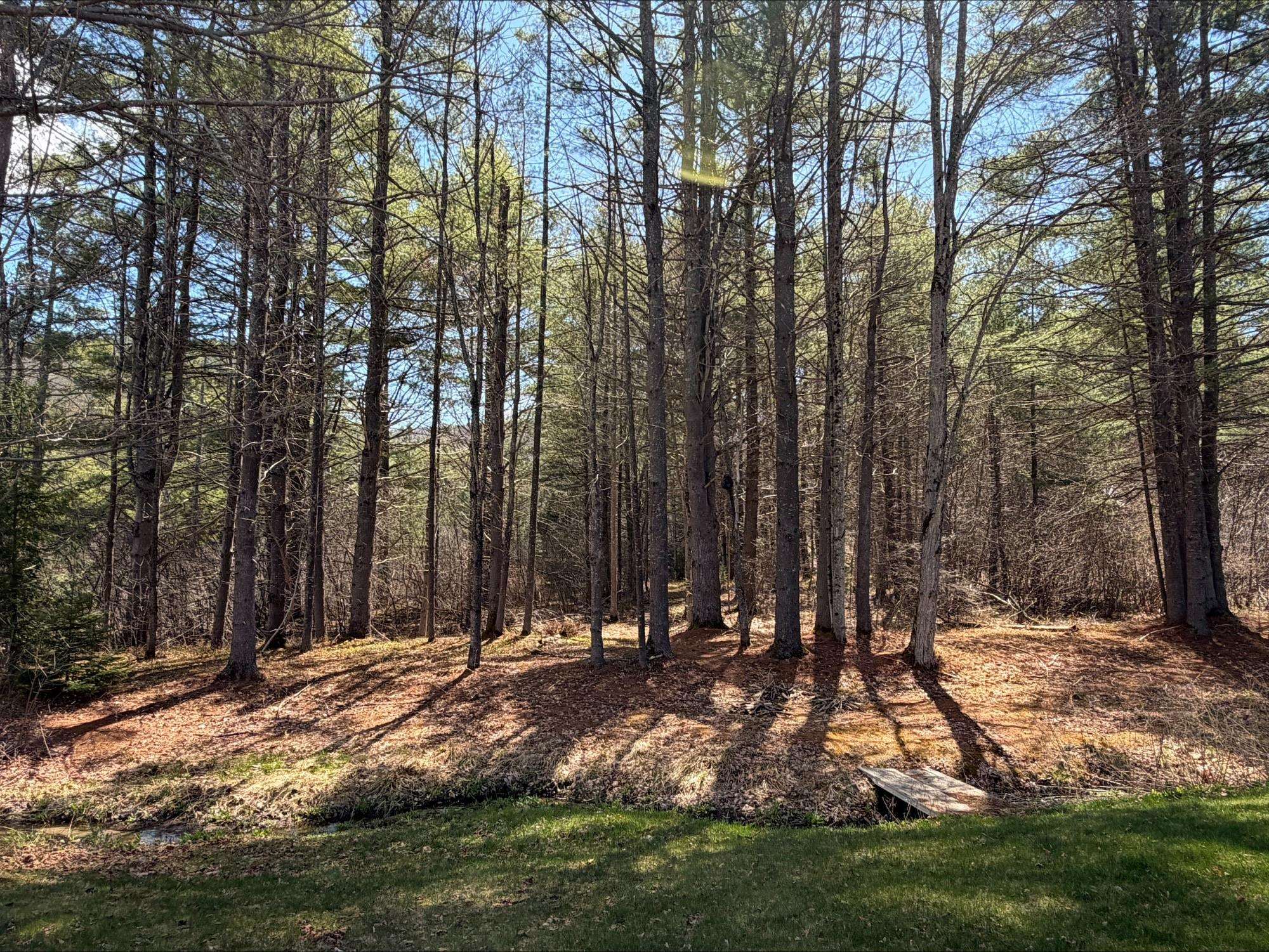815 West Side Road North Conway, NH 03860 - Photo 8 of 41