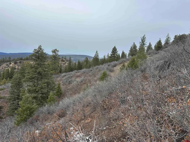 a view of a lake in between two of trees