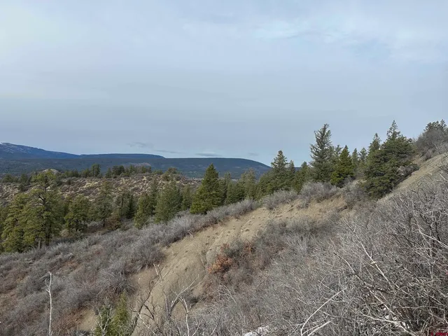 a view of a car in a field