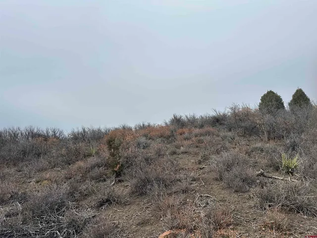 a view of a dry field