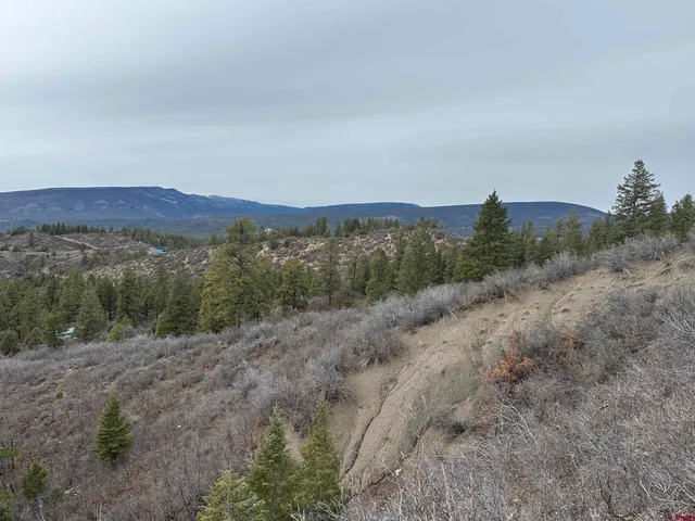 a view of a mountain in the distance in a field