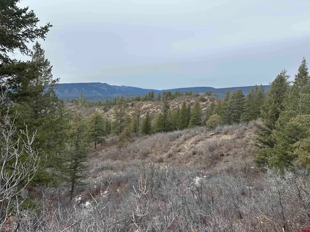 a view of mountain view with lots of trees