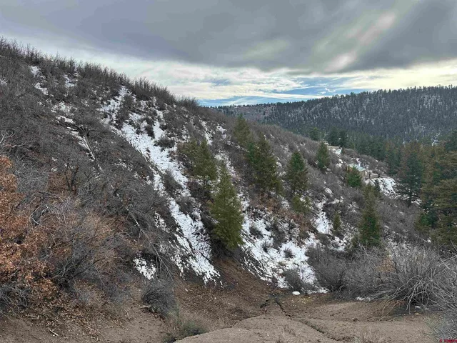 a view of a yard in a field