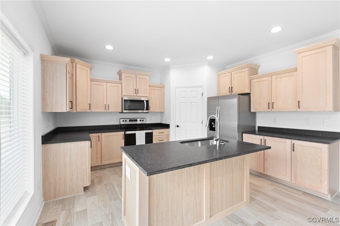853 Levi Road Green Bay, VA 23942 - Photo 13 of 44 Kitchen featuring a sink, stainless steel applianc