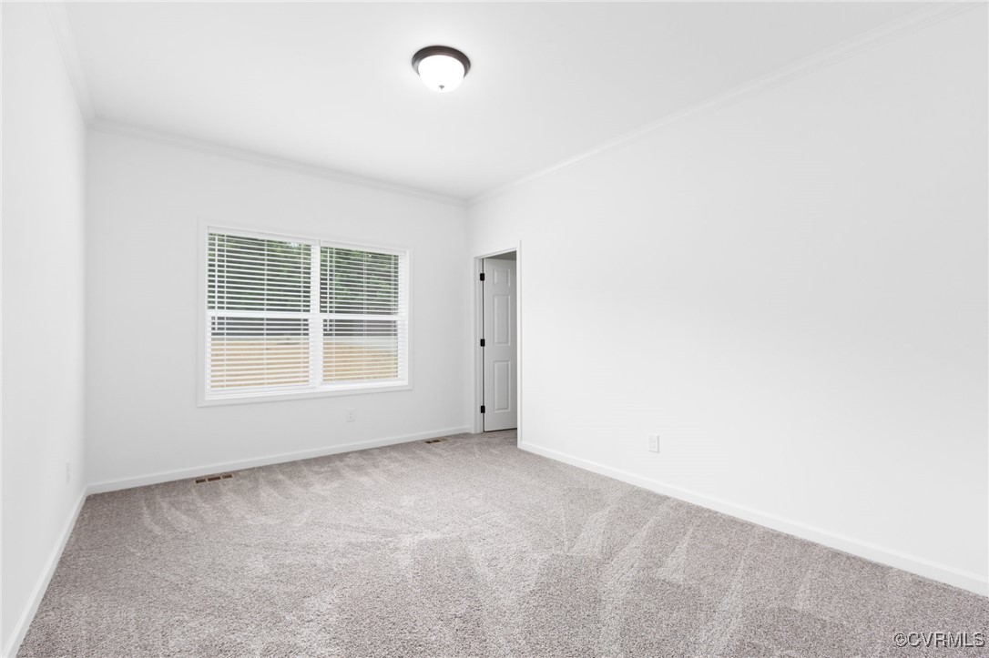853 Levi Road Green Bay, VA 23942 - Photo 19 of 44 Carpeted empty room featuring crown molding and ba