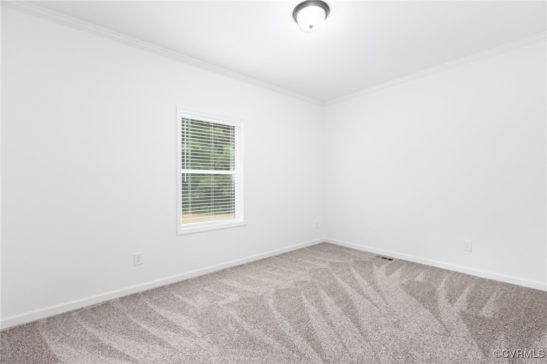 853 Levi Road Green Bay, VA 23942 - Photo 22 of 44 Empty room with baseboards, crown molding, and car