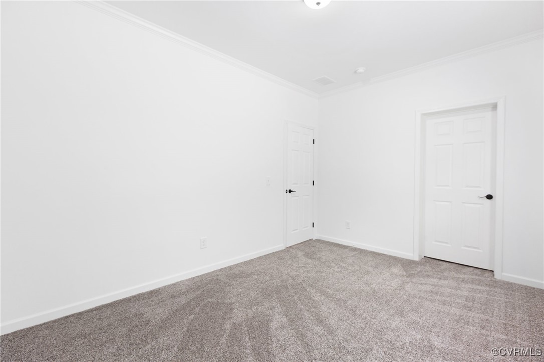 853 Levi Road Green Bay, VA 23942 - Photo 24 of 44 Carpeted empty room with baseboards and ornamental