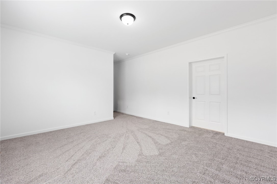 853 Levi Road Green Bay, VA 23942 - Photo 29 of 44 Carpeted spare room featuring baseboards and ornam