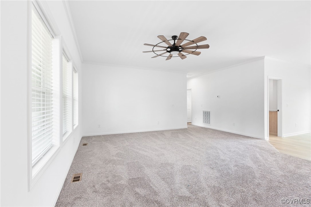 853 Levi Road Green Bay, VA 23942 - Photo 6 of 44