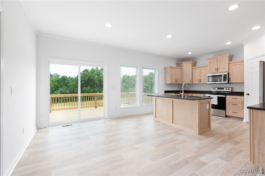853 Levi Road Green Bay, VA 23942 - Photo 10 of 44 Kitchen featuring a sink, light brown cabinetry, a