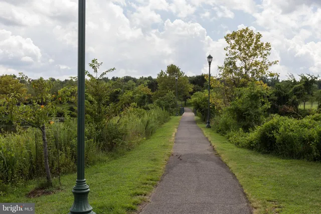 a view of a lake with houses in the back