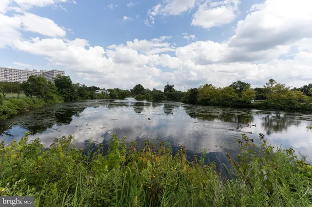 a view of a park with benches